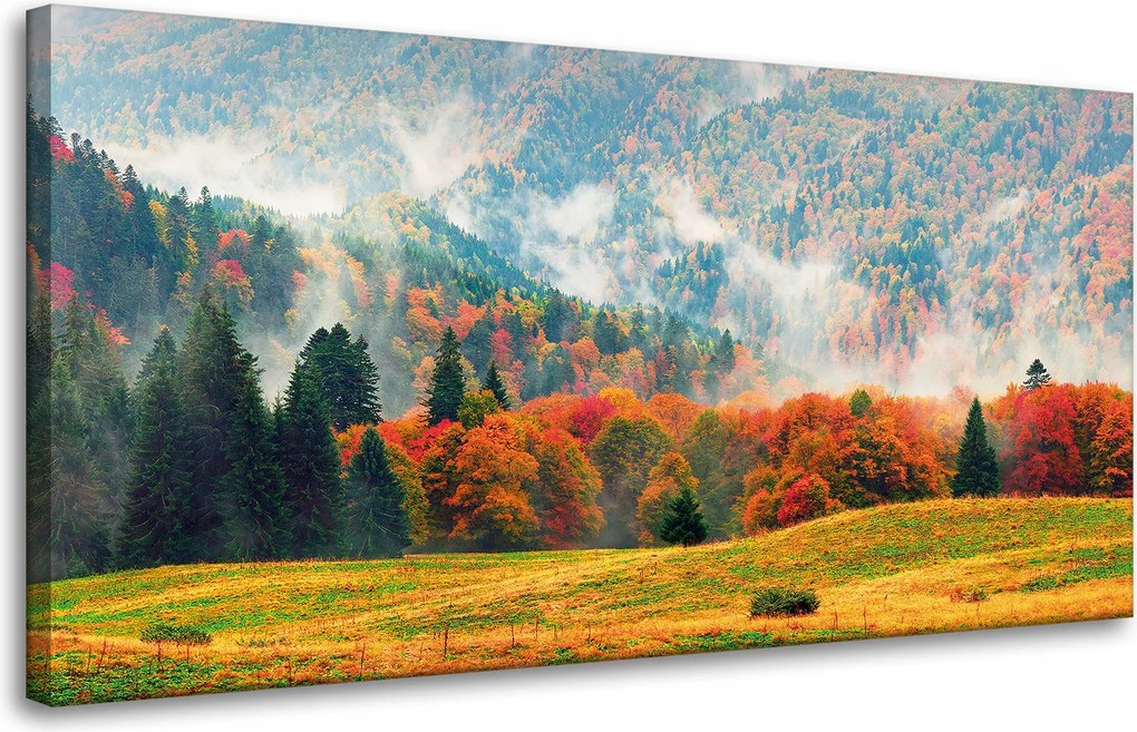 Vászonkép Hegy Erdők Rétek Felhők Természet 80x40 cm Ideális ajándék