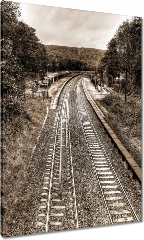 Vászonkép 70x100 Tóra szépia fotó