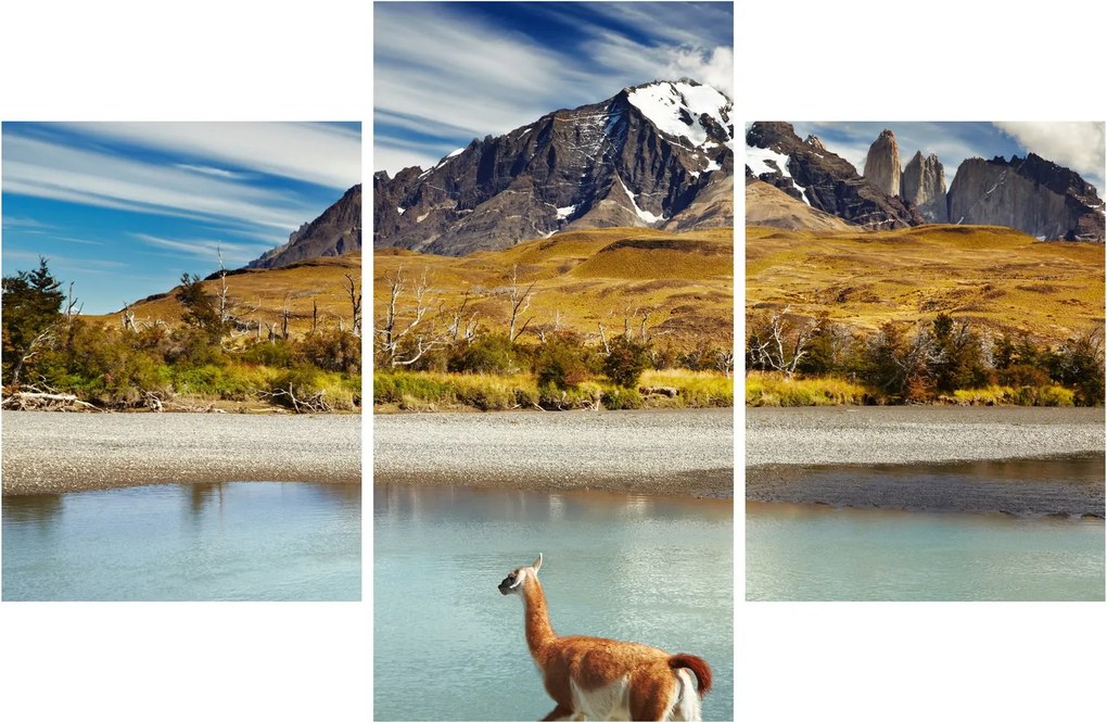 Kép - Torres del Paine Nemzeti Park (90x60 cm)