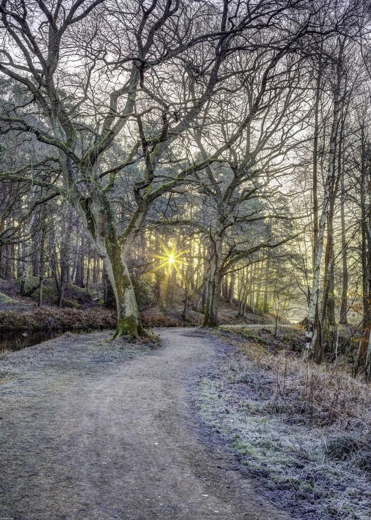 Poszter 50x70cm Vidéki csatorna fákkal és ösvényrel, Assaf Frank