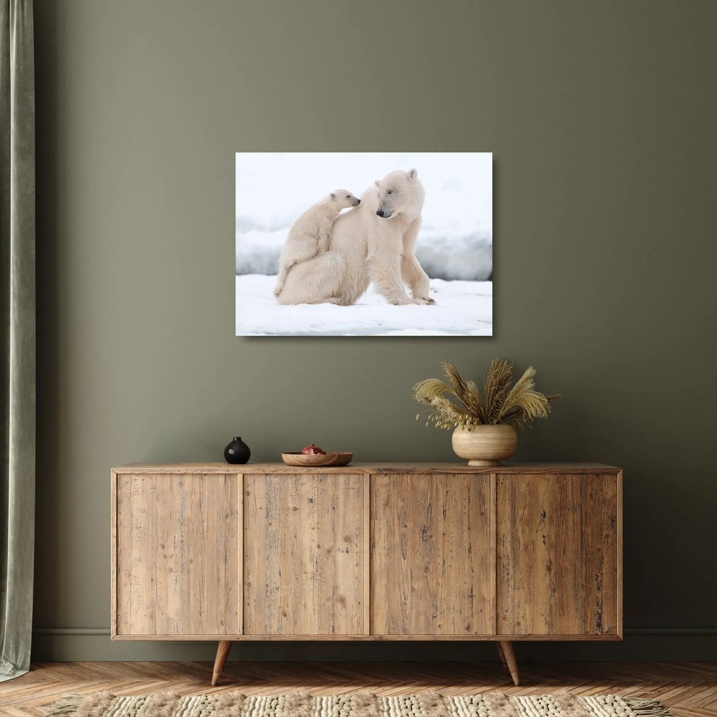 Kép - Jegesmedvék (üvegen) (70x50 cm)