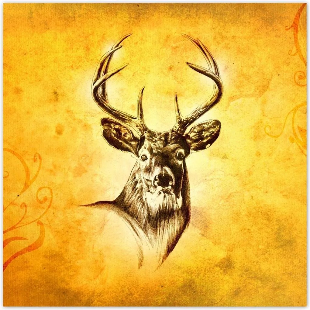 Poszterek 100x100 Szarvasfej szarvakkal