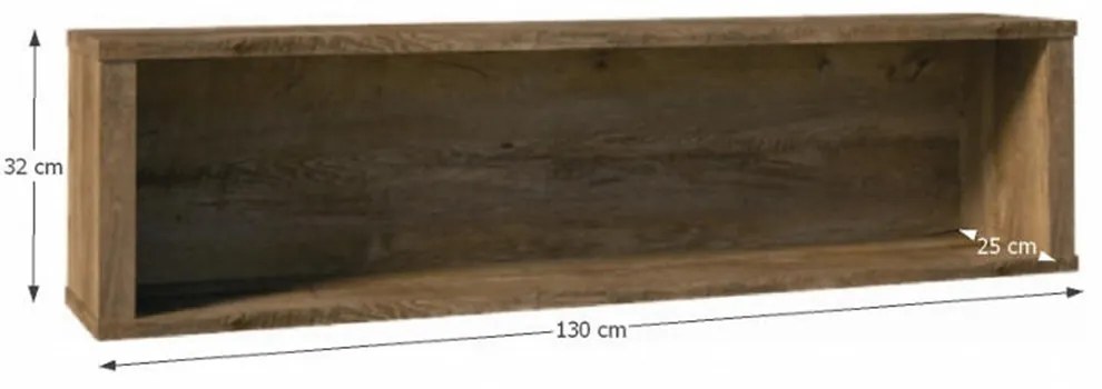 Polc Modestus W1. 779538