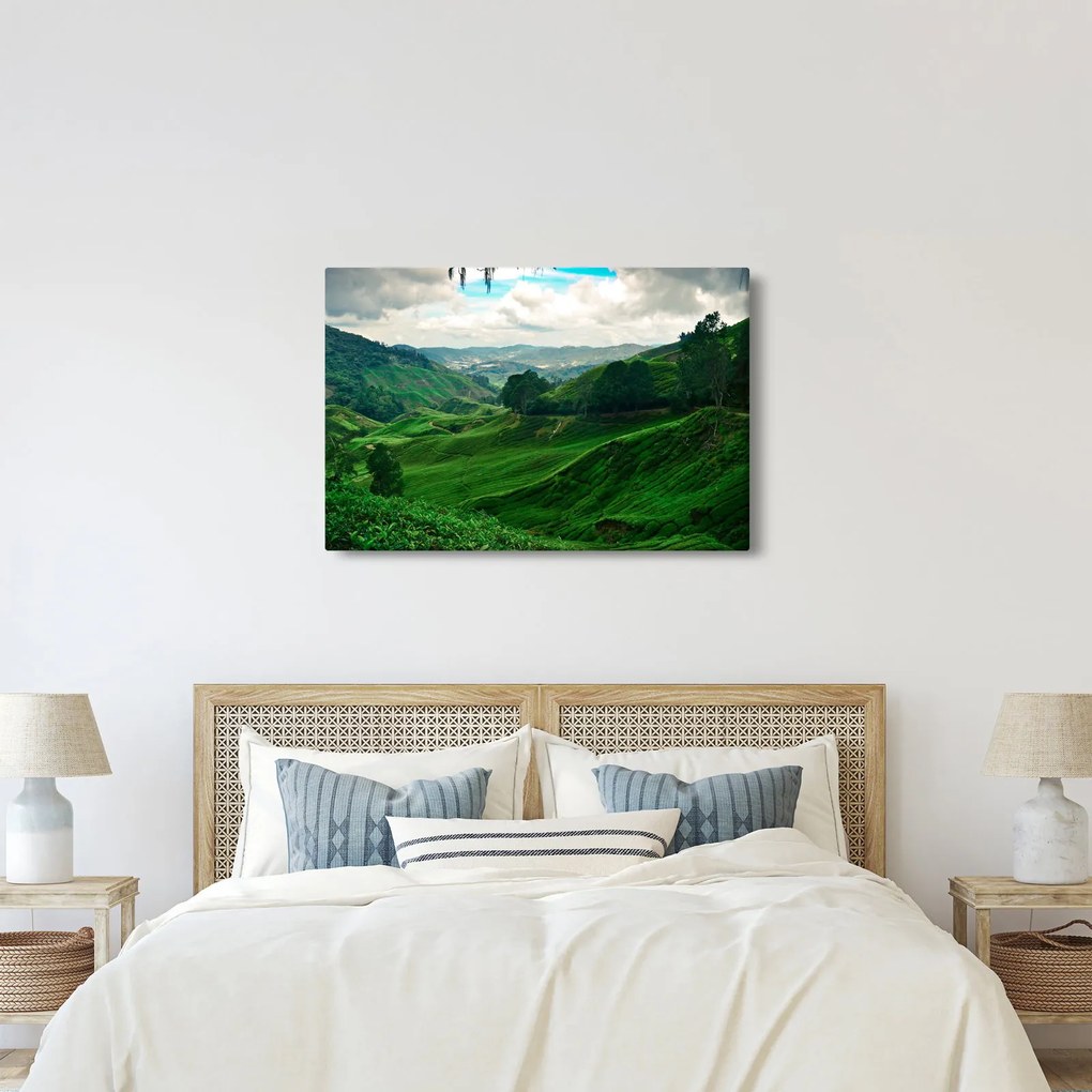 Kép - Teaültetvények Malajziában (90x60 cm)