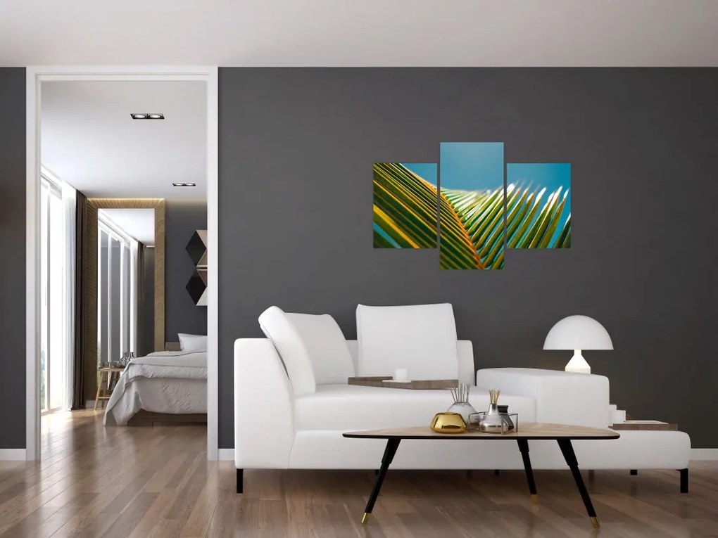 Kép - A pálmalevél részlete (90x60 cm)