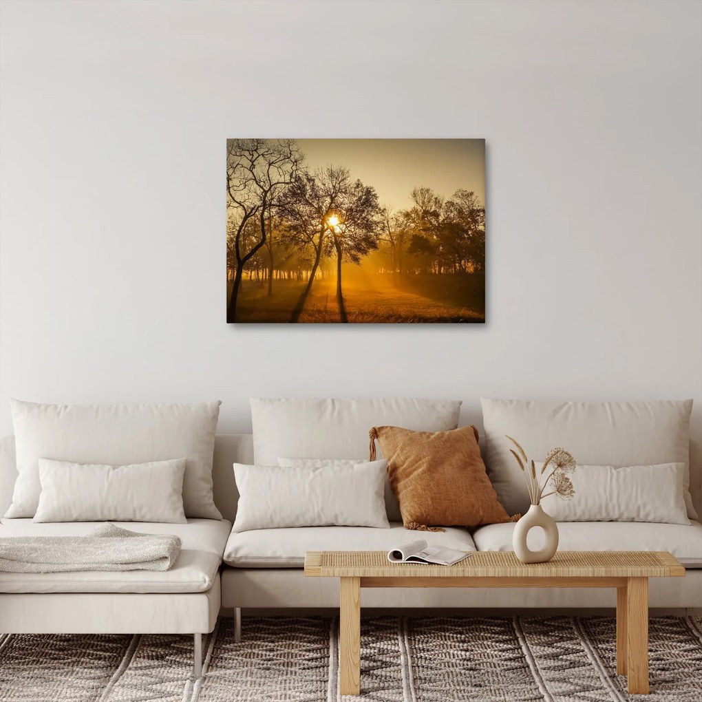 Napkelte kép (70x50 cm)