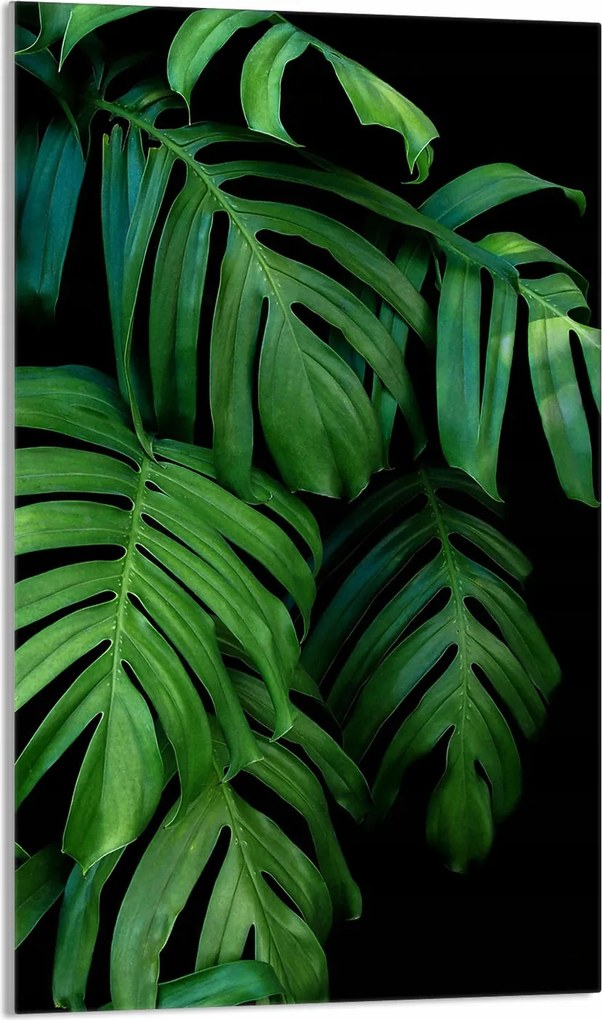 Üveg Vágódeszka 30x52 Monstera Konyhába