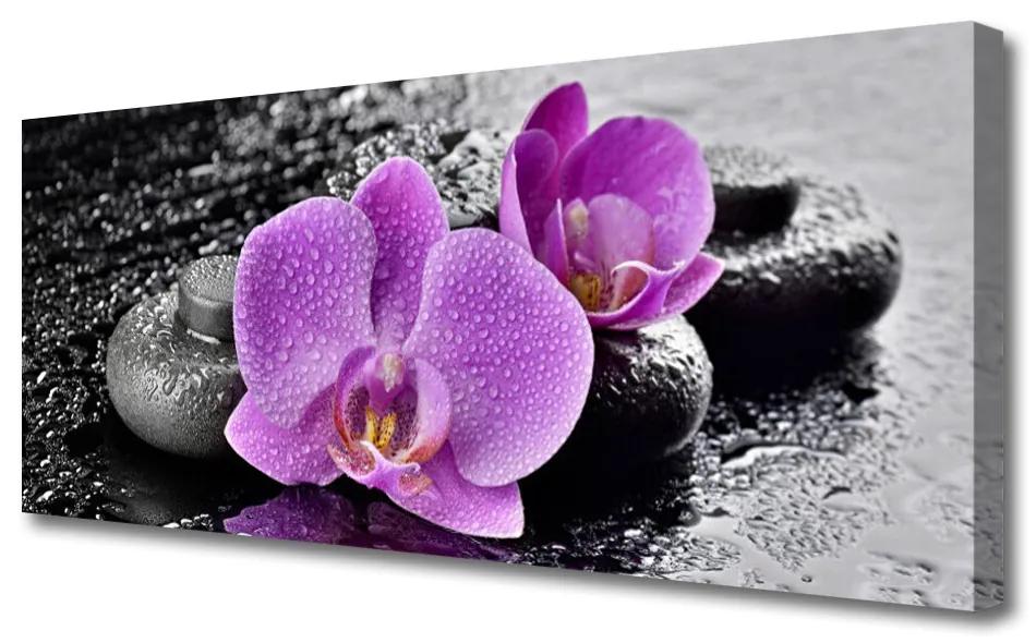 Vászonkép Orchidea virágok orchidea Spa 140x70 cm