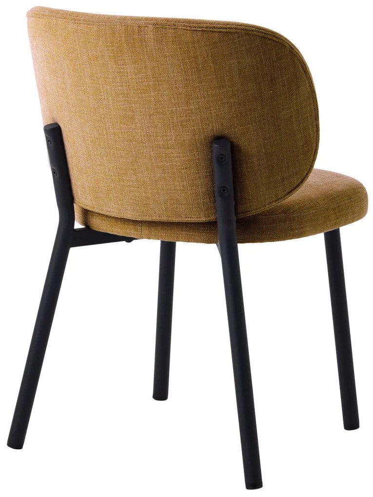Swan design szék