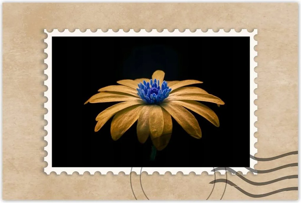 Poszter 60x40 Teavirág