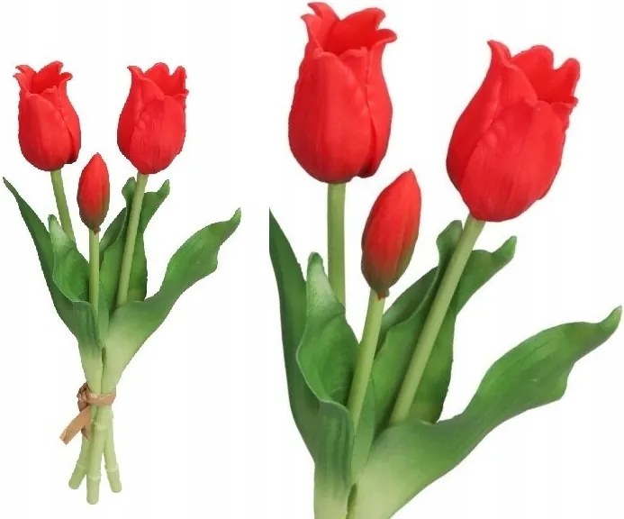 Tulipán Csokor Tulipán Gumi Gumírozott, Mint Az Élő