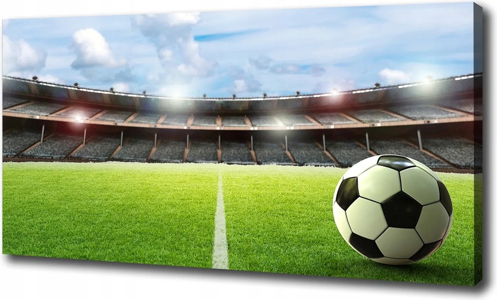 Vászonkép Labda a gyepen 100x70 cm