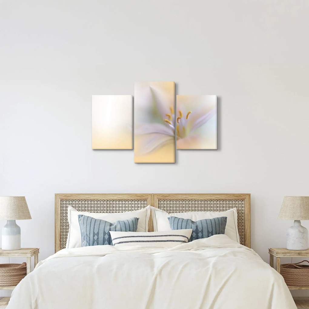 Kép - Gyengéd virág (90x60 cm)