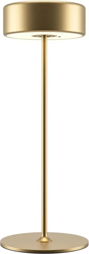 Maytoni AI Collaboration MOD229TL-L3G3K2 1x3W/LED 120lm IP20