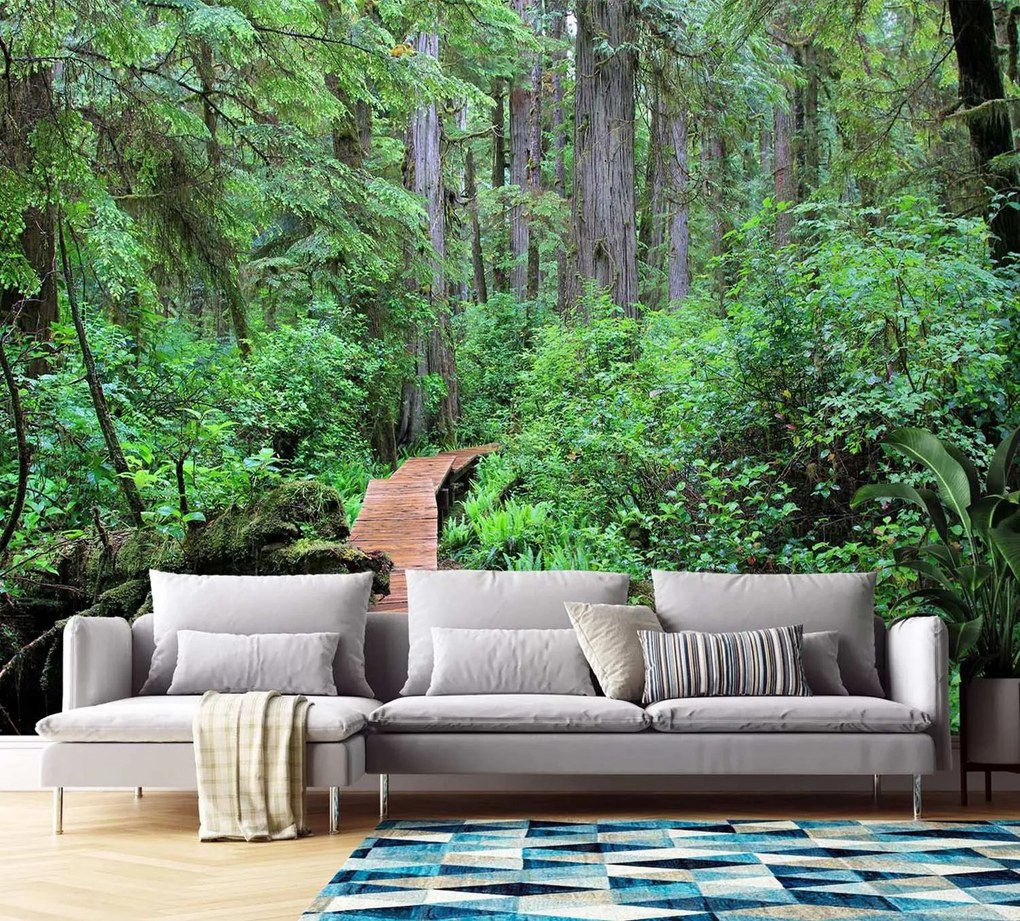 Gario Fotótapéta Gyaloghíd az erdőben Anyag: Vlies, Méret: 100 x 70 cm