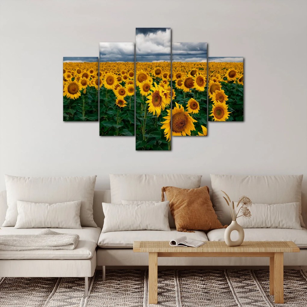 Napraforgó mező képe (150x105 cm)