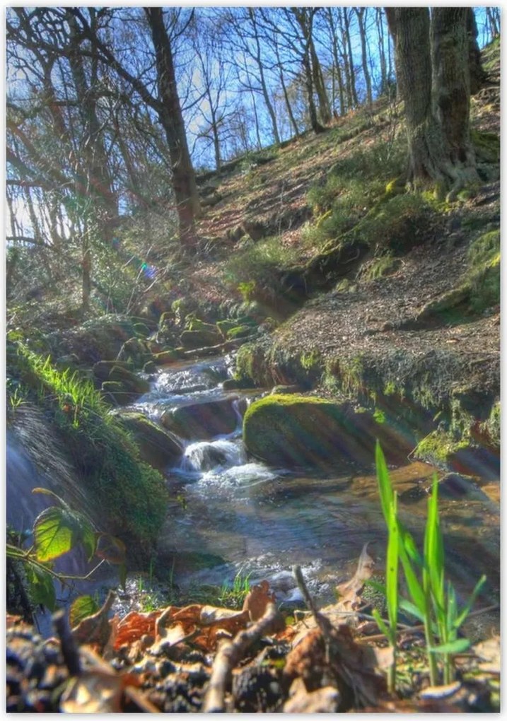 Poszterek 70x100 Napfelkelte