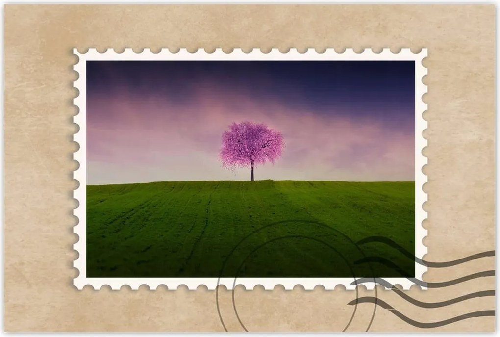 Poszter 60x40 Malackafa