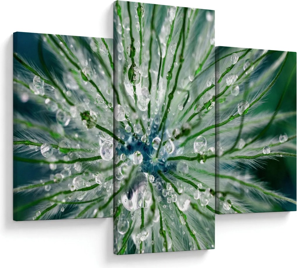 Kép - Makro kép egy virágról (90x60 cm)