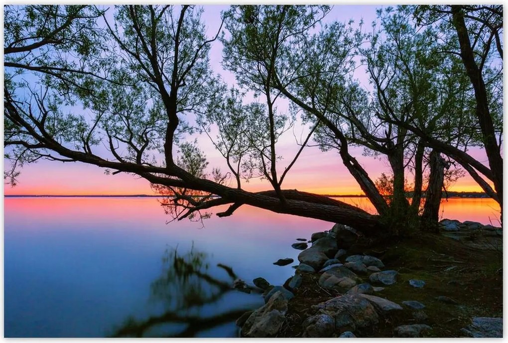 Poszterek 120x80 Sziklák Fa Tó