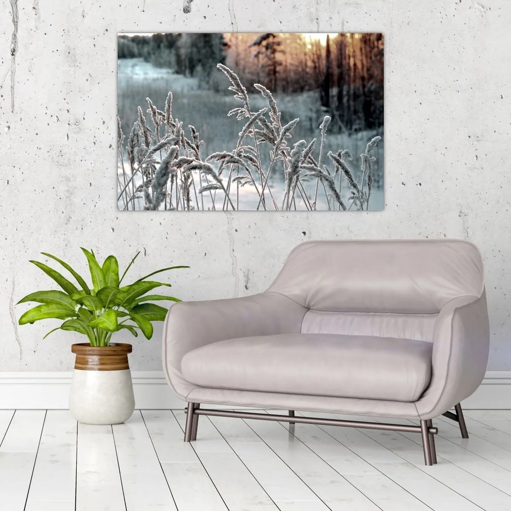 Kép - Fagyott rét (90x60 cm)