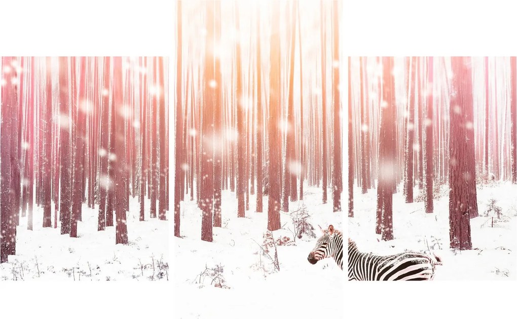 Kép - Zebra egy havas erdőben (90x60 cm)