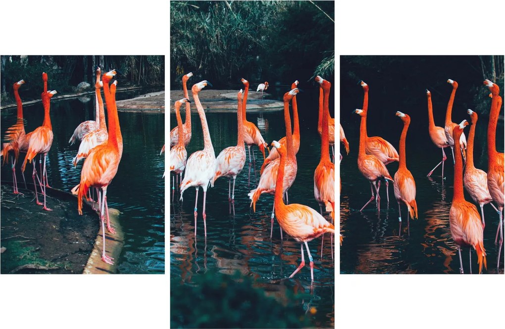 Flamingók csordája (90x60 cm)