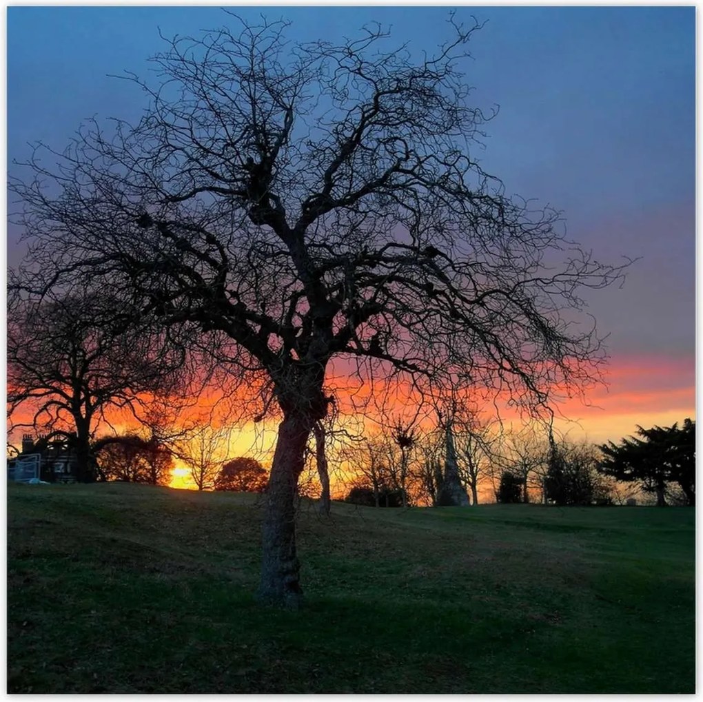 Poszterek 100x100 Naplemente