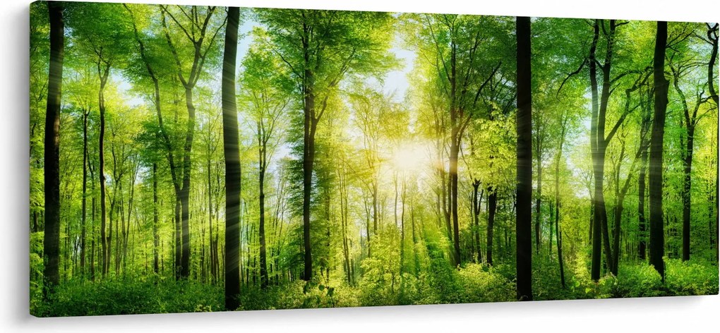 Kép - Hajnal az erdőben (120x50 cm)