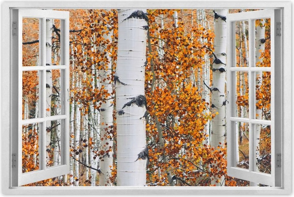 Poszterek 90x60 Őszi táj Nyírfa