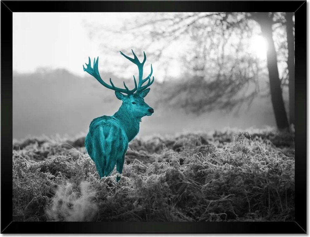 Poszter keretben 40x30 Türkiz szarvas agancsokkal