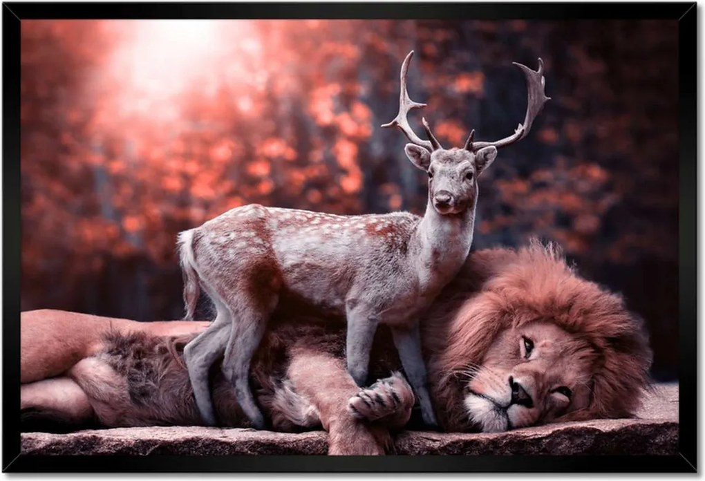 Poszter keretben 60x40 Szarvas felszarvazott