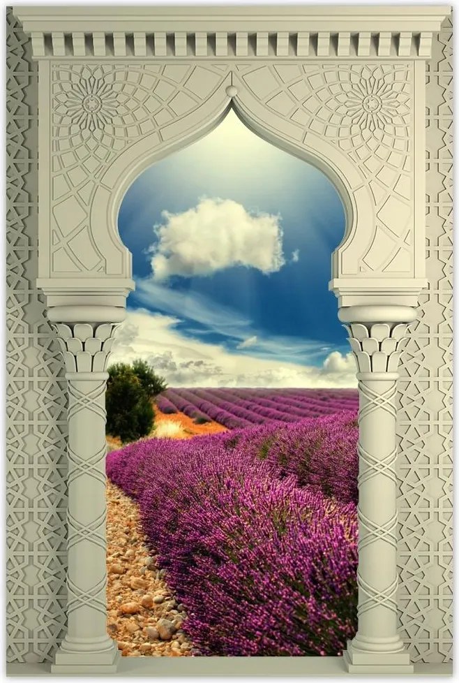 Poszterek 80x120 Levendulamező