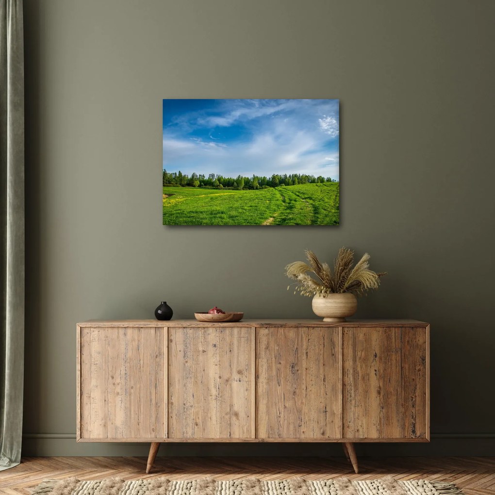 Rét képe (70x50 cm)