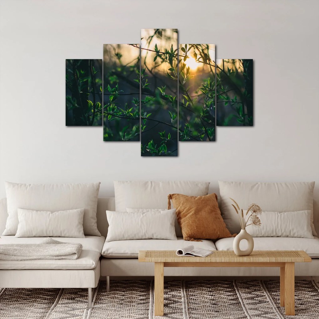 A ragyogó nap képe a fák gallyain keresztül (150x105 cm)