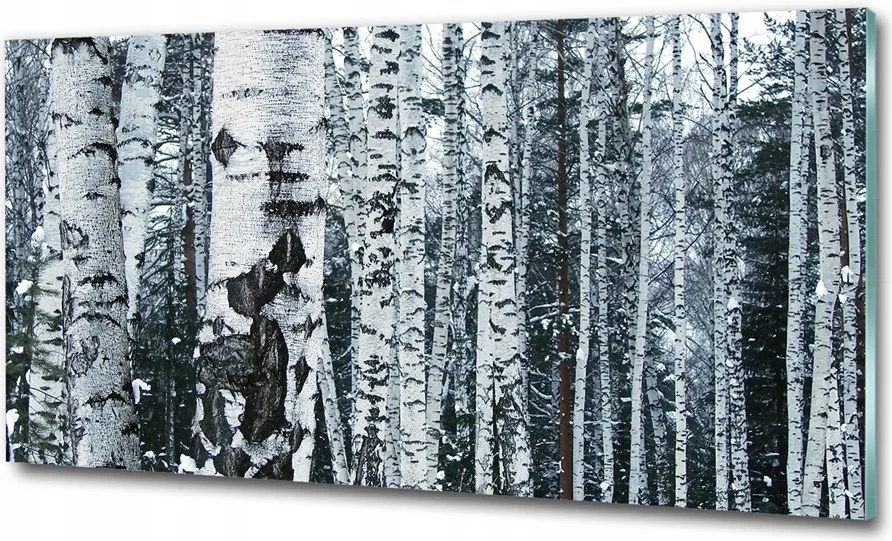 Fotó kép fotó edzett üveg Fű 125x50