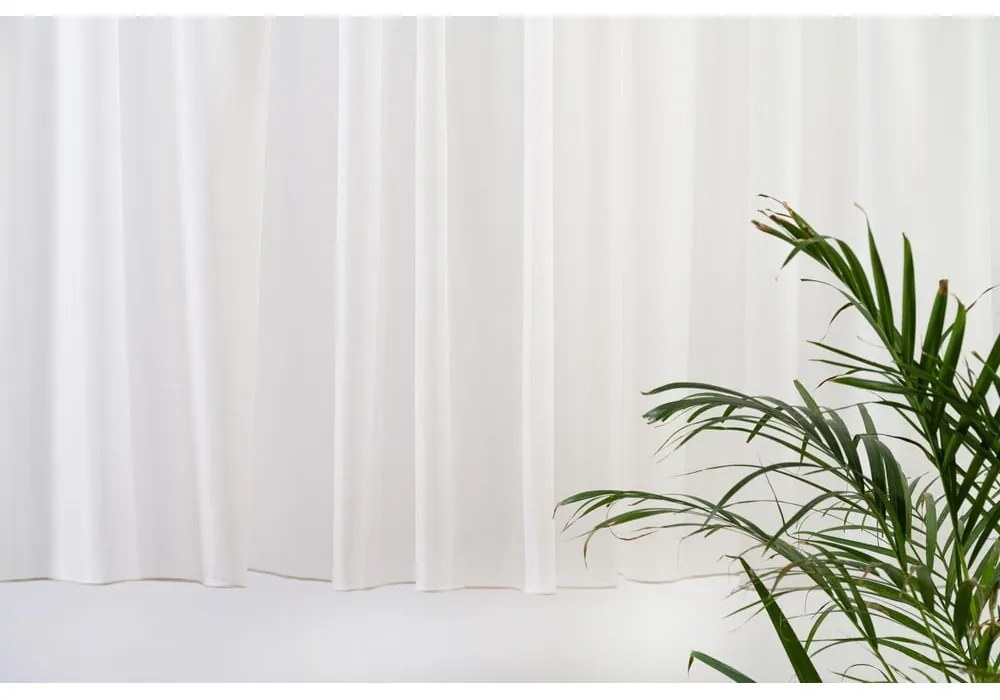 Krémszínű átlátszó függöny 280x160 cm Barbara – Mendola Fabrics