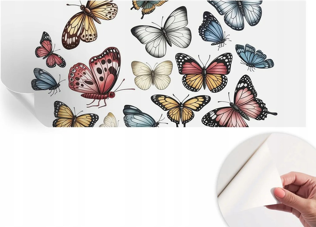 Öntapadós Fali Fotótapéta Hálószobába Paradicsom pillangók 250x104 cm