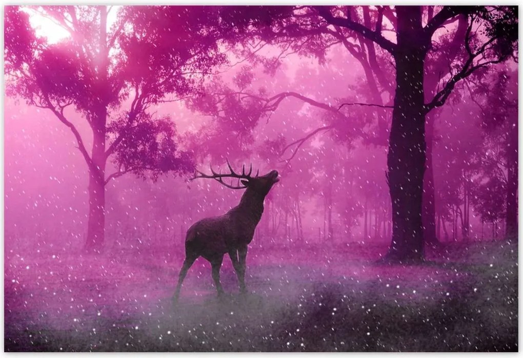Poszterek 185x125 Szarvas a varázslatos erdőben