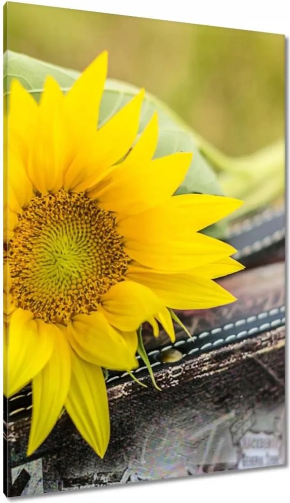 Vászonkép 80x120 Napraforgó a bőröndben