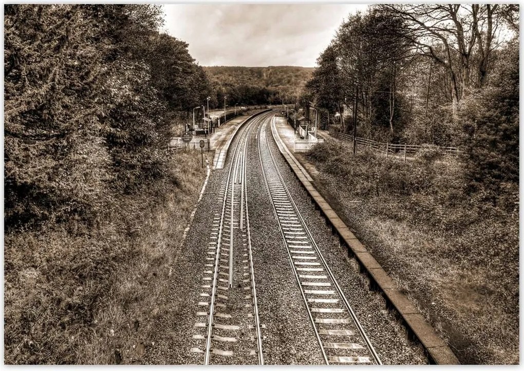 Poszterek 100x70 Tóra szépia fotó