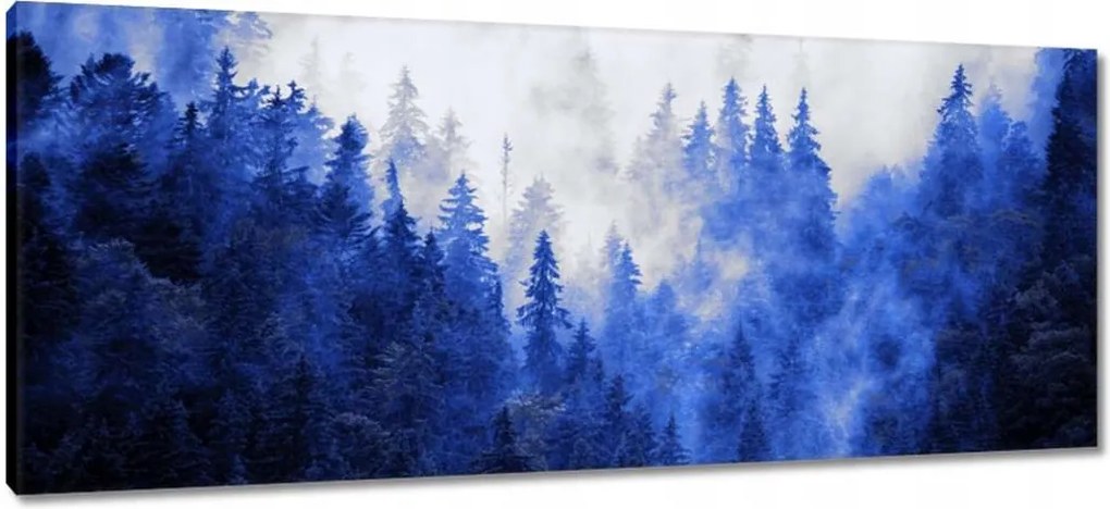 Vászonkép 100x40 Kék táj Hegyek