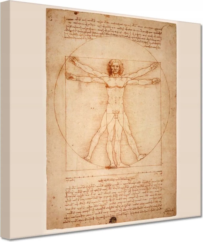 Festmények 20x20 A vitruvius ember da Vinci