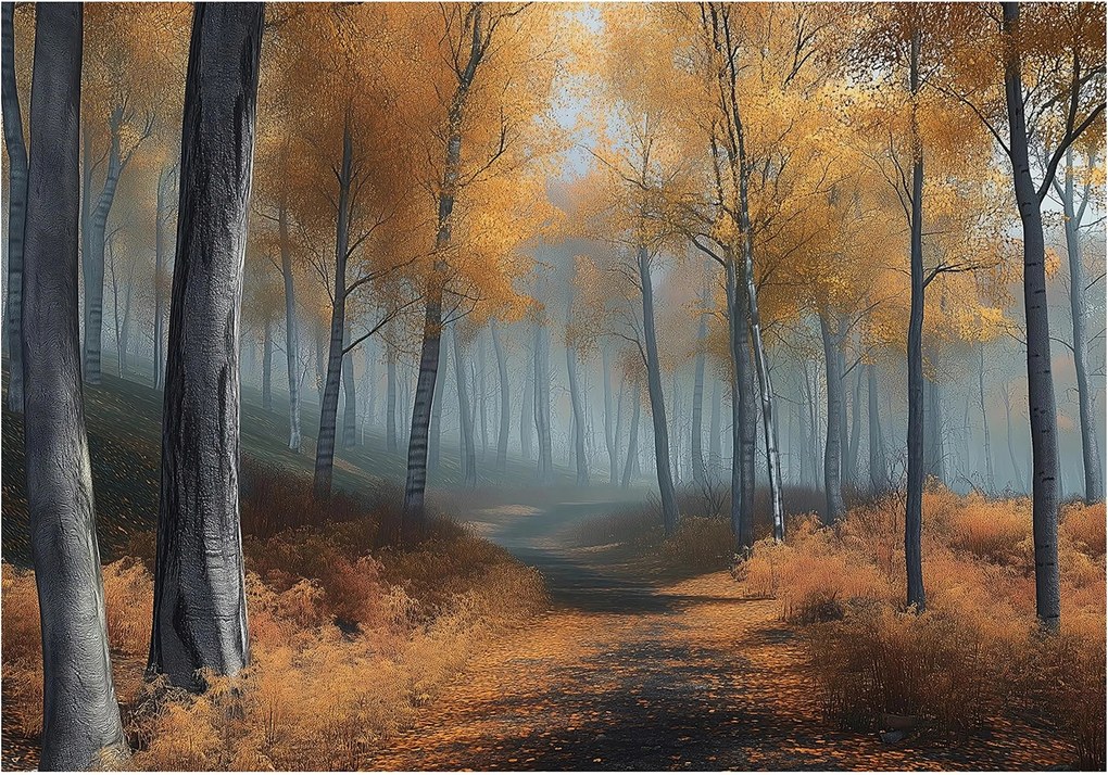 Fotótapéta erdő ősz út köd levelek fák táj fal szoba