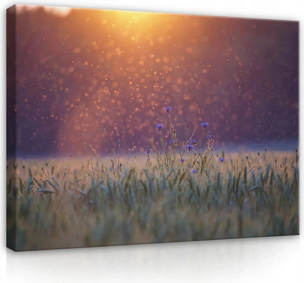 Vászonkép falikép lila arany virágok 100 x 75