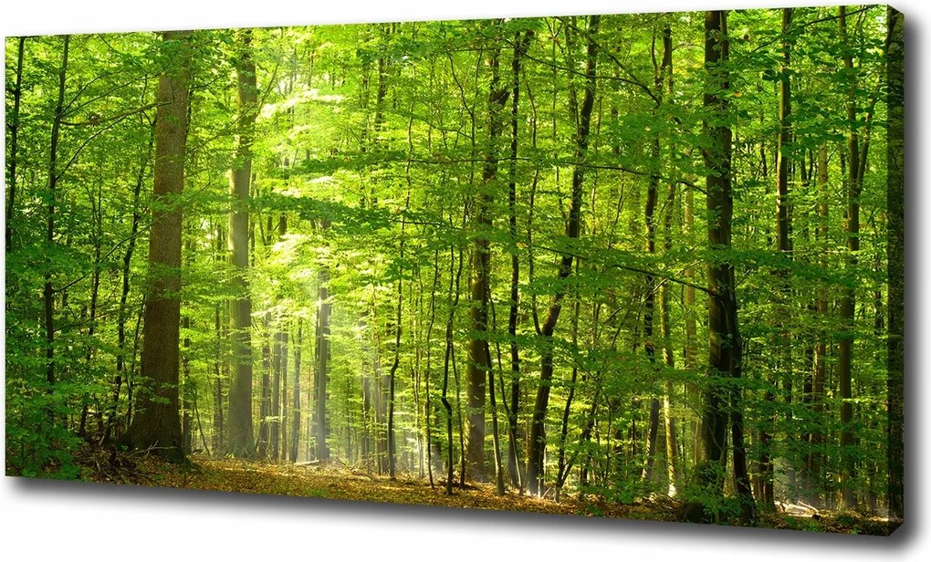 Vászonkép Leveles erdő 100x70 cm