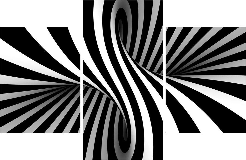 Absztrakt kép zebra csíkokkal (90x60 cm)
