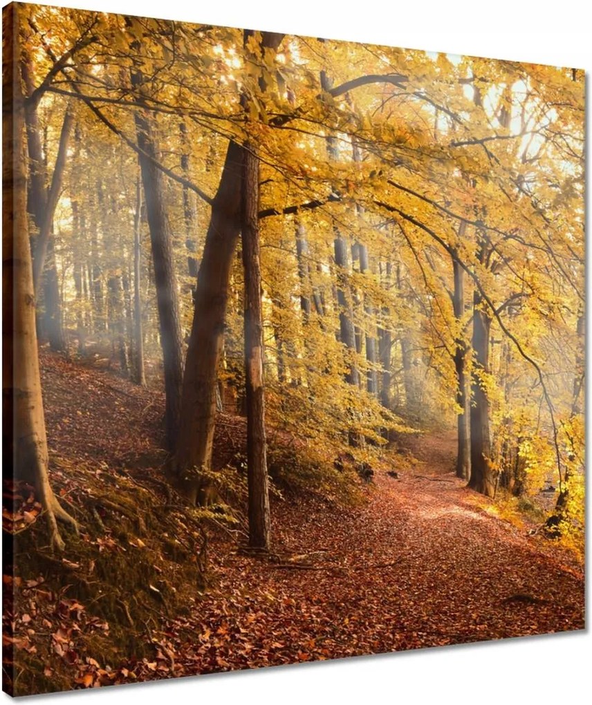 Vászonkép 50x50 Tájkép Látvány