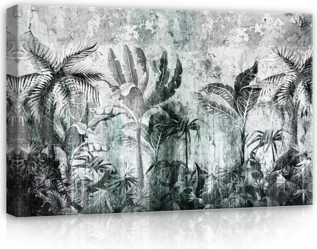 Vászonkép 60x40 Trópusok dzsungel pálmalevelek természet zöld szürke absztrakt