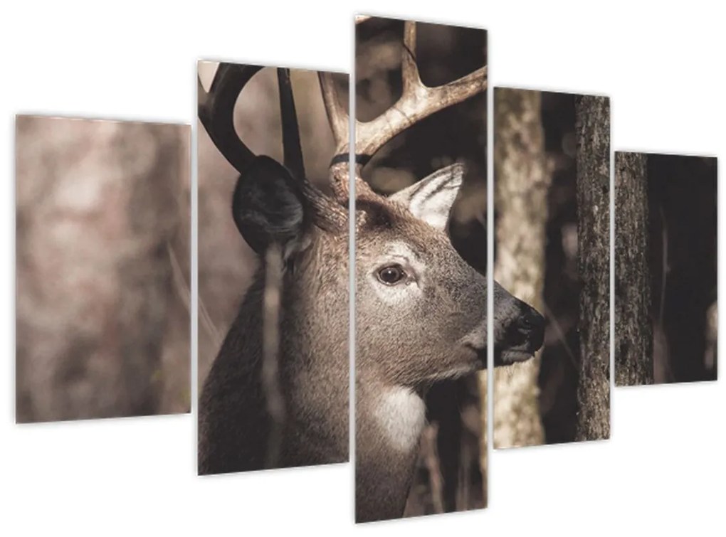 Kép - Szarvas az erdőben (150x105 cm)